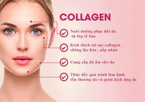 Uống Collagen thế nào cho hiệu quả nhất